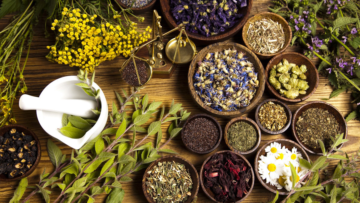 Ayurvedic Industry