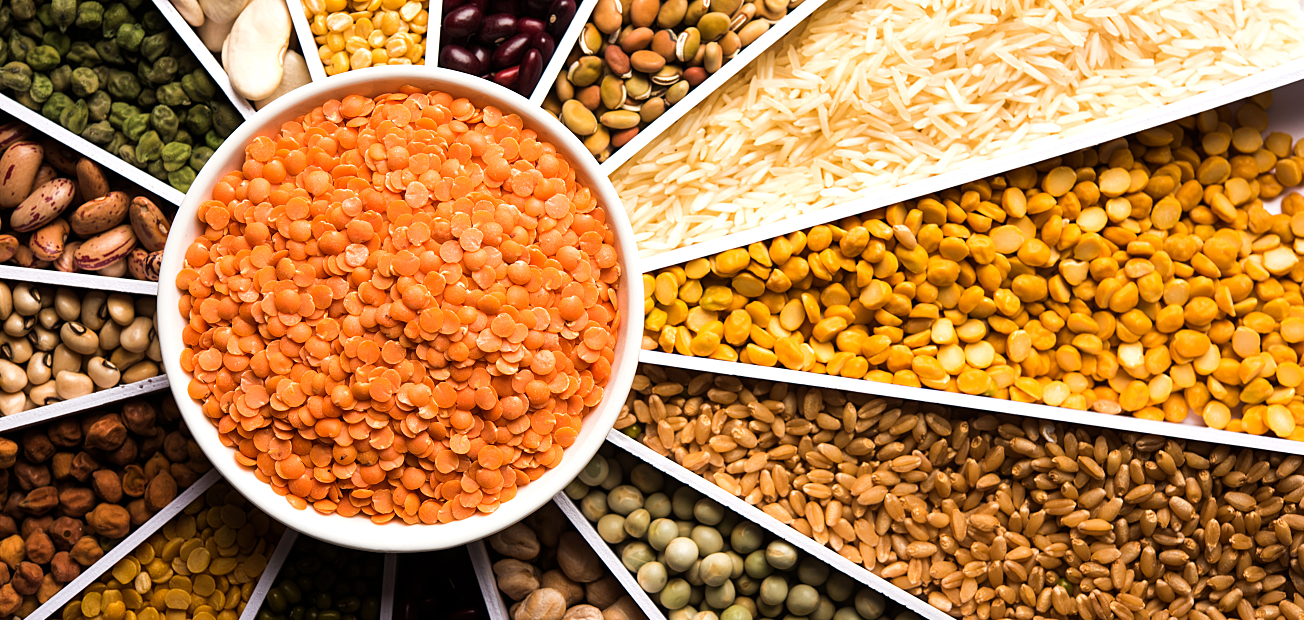 Grains & Pulses Industry